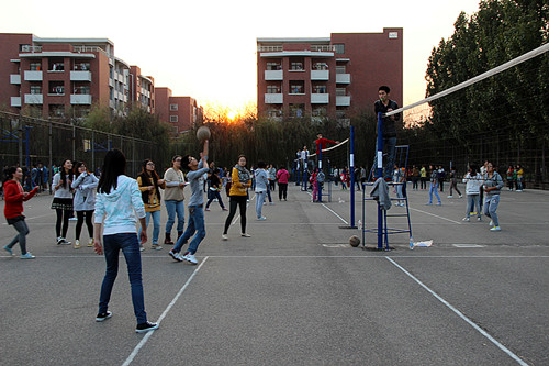 bwin·必赢(中国区)官方网站-officialswebsi