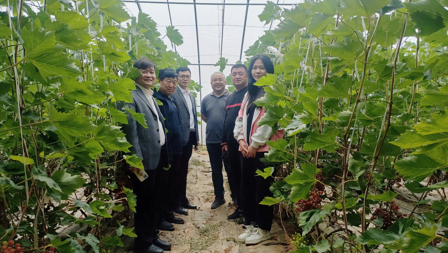 bwin·必赢(中国区)官方网站-officialswebsi