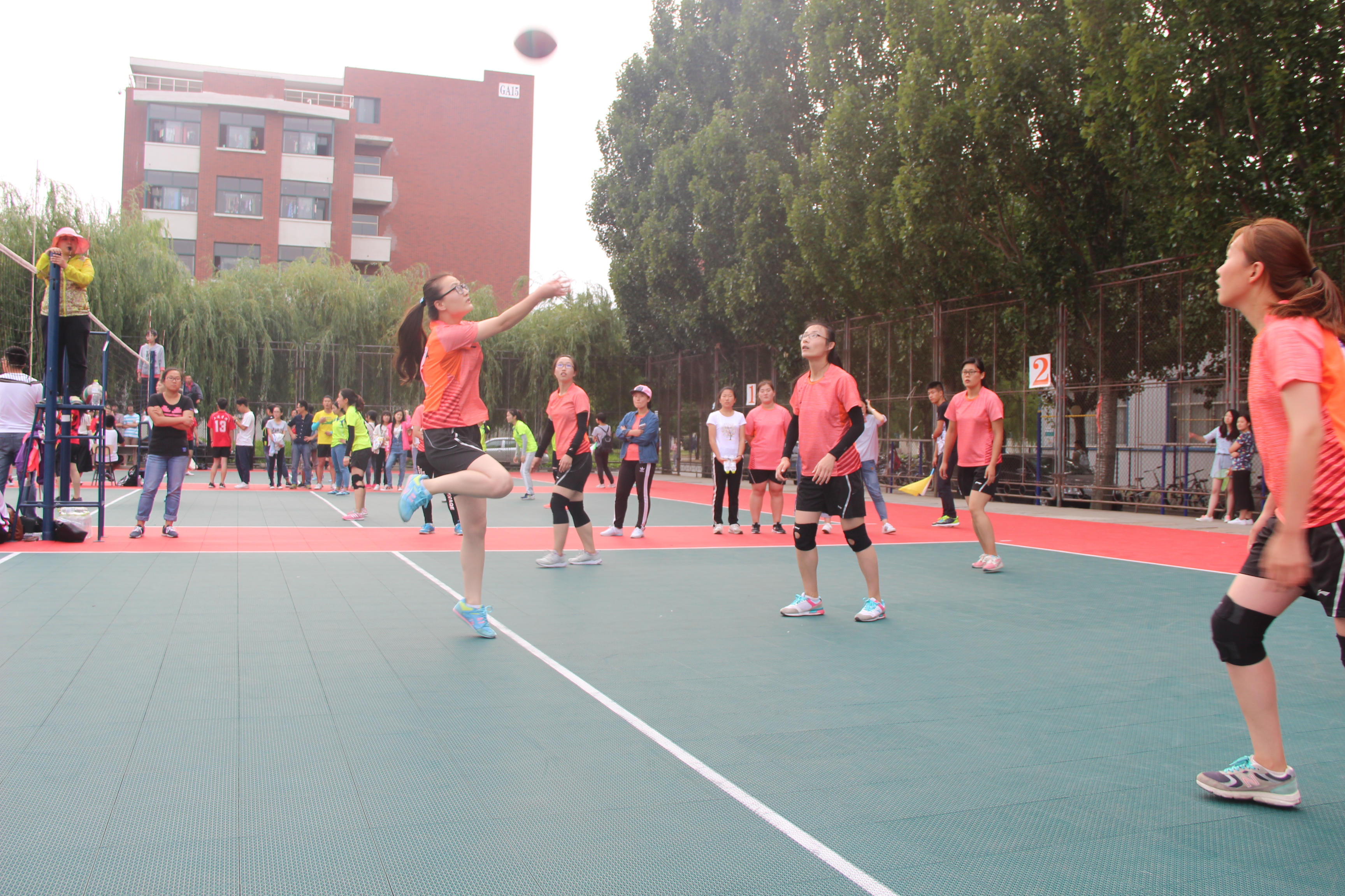 bwin·必赢(中国区)官方网站-officialswebsi