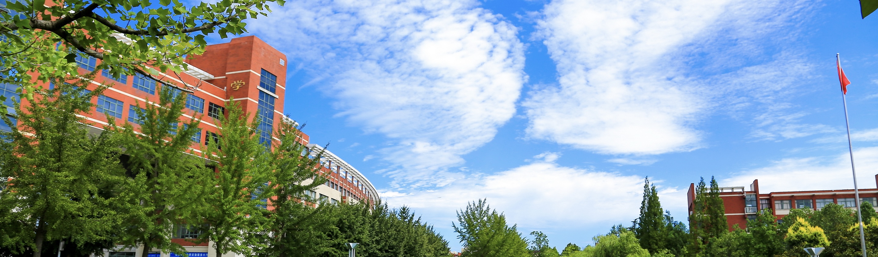 bwin·必赢(中国区)官方网站-officialswebsi