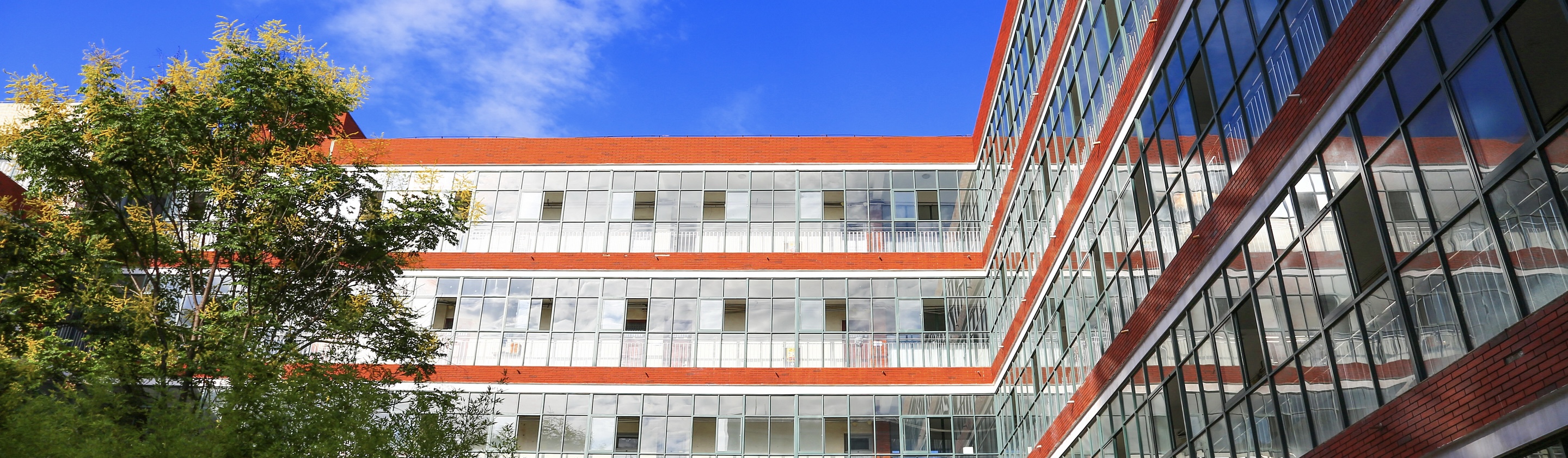 bwin·必赢(中国区)官方网站-officialswebsi